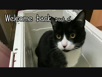 ジルと俺の釣り物語part．6ぶっこみ#1