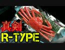 【実況】地球を救おうと思ったら滅ぼしてた【R-TYPE FINAL】