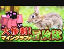 【実況】大惨劇！マインクラフト冒険隊 Part19【Minecraft】