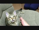 くっさー