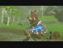 【実況】愛に生きるゼルダの伝説ブレスオブザワイルド part23