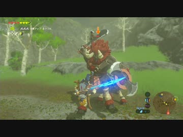 【実況】愛に生きるゼルダの伝説ブレスオブザワイルド part23