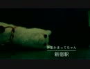 【神聖かまってちゃん】はんの歌ってみた【新宿駅】