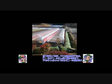 １４００万のいちごハウス、作ってみた.再投稿