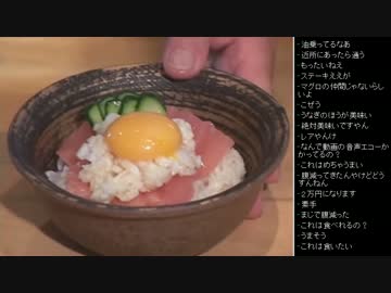 [2017.03.27]ひろくん 動画鑑賞 雑談 (2/2)