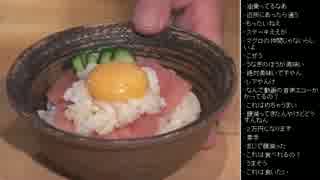 [2017.03.27]ひろくん 動画鑑賞 雑談 (2/2)