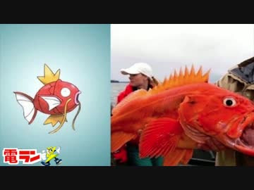 【衝撃】ポケモンのモデルになった動物１０選