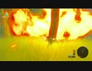 【BotW実況】ゼルダの伝説　ぶらり野生生活【27】
