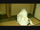 【刀剣乱舞コスプレ動画】本丸徒然草第一章6巻～もっと他にその力を使え