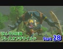 【実況】野生を感じてゼルダの伝説ブレス オブ ザ ワイルド part28
