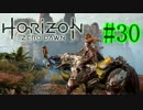 【実況】-アーロイと機械獣の物語-Horizon Zero Dawn.Part最終回(毎日実況89日目)