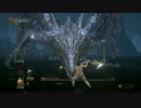 SL1 カンスト 闇喰らいのミディール