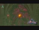 【BotW実況】ゼルダの伝説　ぶらり野生生活【30】