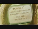 【静止画ＭＡＤ】peace of mind 【けものフレンズ】