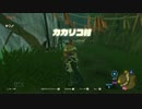 【彷徨うｱﾗｻｰBBA】ゼルダの伝説ブレスオブザワイルド初見実況part13