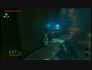 【実況】ブレス・オブ・ザ・ワイルド　新世界の勇者に俺はなる！65