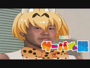 野獣先輩サーバル説.nibansenji