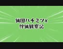 【MHX】猟団ハチミツX狩猟観察記-part13-【実況】