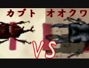 【ゆっくり】青空の下、最強の虫はどちらか検証する【ぼくなつ2】