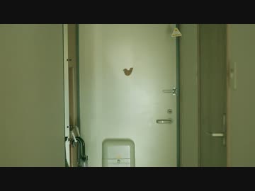 わすれもの【MV】