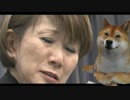 「てるみくらぶ」新卒内定者50人「先見えない」破産