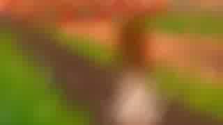 【しの feat.IA】茜色【オリジナル】