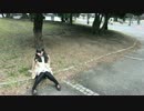 【てる】風待ちハローワールドを踊ってみたよ【踏み出せ一歩】