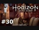【実況】ゾイドな世界でひと狩りいこうぜ！【HZD】＃３０