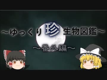 ～ゆっくり　珍　生物図鑑～　番外編13