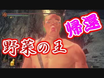 【ダークソウル３】野菜帝国の王と行くDLC２初見攻略【実況】part1