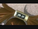DOA5LR アークシステムワークスコラボレーション レイファン