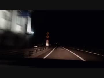 車載配信中に白い猫をひくokasing