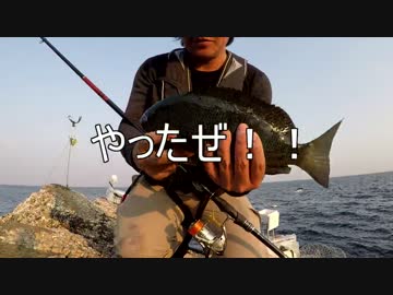 【魚釣り】 俺の刺し餌グレに届け！！part2