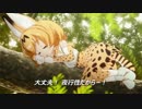 けものコンバット5（アニメ映像版）