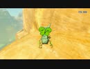 ゼルダの伝説 ブレスオブザワイルド 全コログのミの場所 11/13