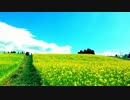 【春ニカ祭2017】Mock Heart【NNI】
