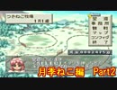 【チョコボスタリオン】第一回ラピスキャット杯【短編実況】 Part2 Cat2