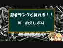 忍者ランクと戯れる！！ VI : お久ぶり&ランプ更新