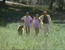 昔の人気TVドラマ トワイライトゾーン　4/54