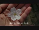 2017桜吹雪合唱