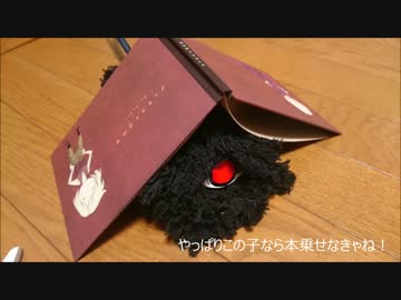 【魔法使いの嫁】イエナリちゃんのハンドモップ作ってみた【中篇】