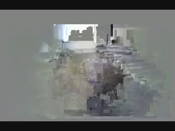 心霊スポットのトイレ　木の軋む音？　ラップ音？　その2