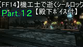 【FF14】機工士で逝くシールロックPart.12【殿下ﾎﾞｲｽ付】