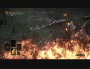 初見　ダクソ3　THE RINGED CITY　プレイ動画　part15