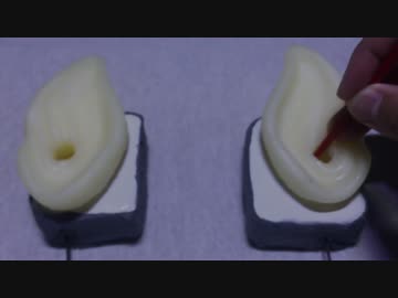 ASMR　ゴソゴソ耳かき