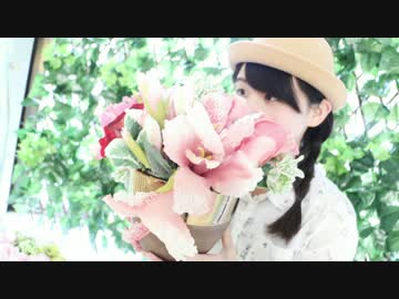 【六月小雨】さようなら、花泥棒さん 踊ってみた【祝入学】