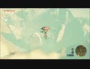switch争奪戦に敗北した男のゼルダ実況　part30