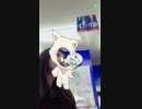 170211 德井青空 LINE LIVE　京都散歩