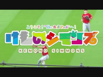 けものフレンズMAD ～ようこそ "The Ball Park" へ！～
