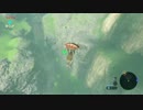 自由すぎるリンクの冒険【プレイ動画その２４】